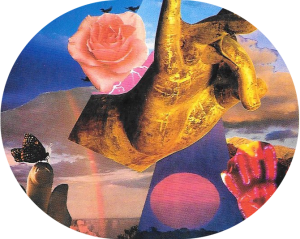 Marcel Zwart astroloog tarot amsterdam122